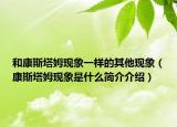 和康斯塔姆现象一样的其他现象（康斯塔姆现象是什么简介介绍）