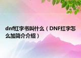 dnf红字书叫什么（DNF红字怎么加简介介绍）