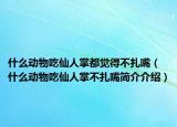 什么动物吃仙人掌都觉得不扎嘴（什么动物吃仙人掌不扎嘴简介介绍）