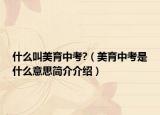 什么叫美育中考?（美育中考是什么意思简介介绍）