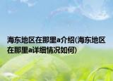 海东地区在那里a介绍(海东地区在那里a详细情况如何)