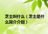 芝士叫什么（芝士是什么简介介绍）