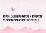 狗吃什么蔬菜对毛发好（狗狗吃什么蔬菜和水果对毛好简介介绍）