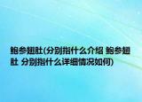 鲍参翅肚(分别指什么介绍 鲍参翅肚 分别指什么详细情况如何)
