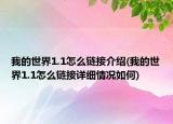 我的世界1.1怎么链接介绍(我的世界1.1怎么链接详细情况如何)