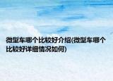 微型车哪个比较好介绍(微型车哪个比较好详细情况如何)