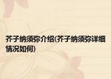 芥子纳须弥介绍(芥子纳须弥详细情况如何)