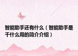 智能助手还有什么（智能助手是干什么用的简介介绍）