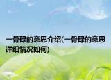 一骨碌的意思介绍(一骨碌的意思详细情况如何)