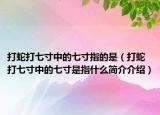 打蛇打七寸中的七寸指的是（打蛇打七寸中的七寸是指什么简介介绍）