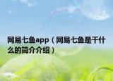 网易七鱼app（网易七鱼是干什么的简介介绍）