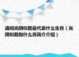 请问光阴似箭是代表什么生肖（光阴似箭指什么肖简介介绍）