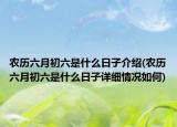 农历六月初六是什么日子介绍(农历六月初六是什么日子详细情况如何)