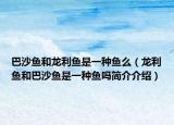 巴沙鱼和龙利鱼是一种鱼么（龙利鱼和巴沙鱼是一种鱼吗简介介绍）