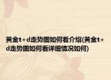 黄金t+d走势图如何看介绍(黄金t+d走势图如何看详细情况如何)