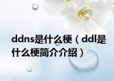 ddns是什么梗（ddl是什么梗简介介绍）