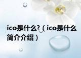 ico是什么?（ico是什么简介介绍）