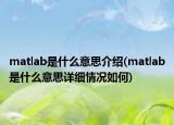 matlab是什么意思介绍(matlab是什么意思详细情况如何)