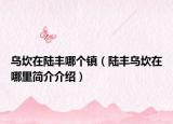 乌坎在陆丰哪个镇（陆丰乌坎在哪里简介介绍）