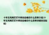十年生死两茫茫不思量自难忘什么意思介绍(十年生死两茫茫不思量自难忘什么意思详细情况如何)