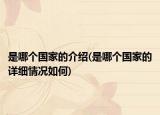 是哪个国家的介绍(是哪个国家的详细情况如何)