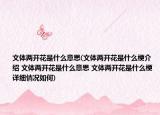 文体两开花是什么意思(文体两开花是什么梗介绍 文体两开花是什么意思 文体两开花是什么梗详细情况如何)