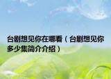 台剧想见你在哪看（台剧想见你多少集简介介绍）