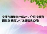 变质作用类型(伟晶\