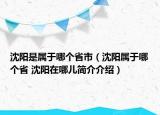 沈阳是属于哪个省市（沈阳属于哪个省 沈阳在哪儿简介介绍）