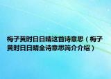 梅子黄时日日晴这首诗意思（梅子黄时日日晴全诗意思简介介绍）