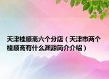 天津桂顺斋六个分店（天津市两个桂顺斋有什么渊源简介介绍）