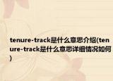 tenure-track是什么意思介绍(tenure-track是什么意思详细情况如何)