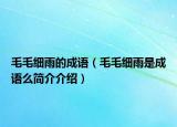 毛毛细雨的成语（毛毛细雨是成语么简介介绍）