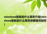 windows更新是什么意思介绍(windows更新是什么意思详细情况如何)