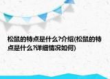 松鼠的特点是什么?介绍(松鼠的特点是什么?详细情况如何)