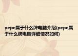 pepe属于什么牌电脑介绍(pepe属于什么牌电脑详细情况如何)