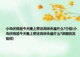 小鸟伏特加今天晚上整这高伴奏是什么?介绍(小鸟伏特加今天晚上整这高伴奏是什么?详细情况如何)