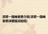灵犀一指啥意思介绍(灵犀一指啥意思详细情况如何)