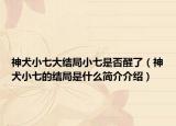 神犬小七大结局小七是否醒了（神犬小七的结局是什么简介介绍）