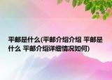 平邮是什么(平邮介绍介绍 平邮是什么 平邮介绍详细情况如何)