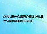 SOUL是什么意思介绍(SOUL是什么意思详细情况如何)