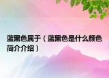 蓝黑色属于（蓝黑色是什么颜色简介介绍）