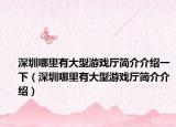 深圳哪里有大型游戏厅简介介绍一下（深圳哪里有大型游戏厅简介介绍）