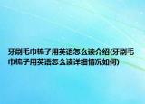 牙刷毛巾梳子用英语怎么读介绍(牙刷毛巾梳子用英语怎么读详细情况如何)