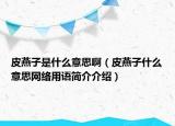 皮燕子是什么意思啊（皮燕子什么意思网络用语简介介绍）
