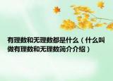 有理数和无理数都是什么（什么叫做有理数和无理数简介介绍）
