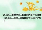 两不愁三保障中的三保障指的是什么保障（两不愁三保障三保障是指什么简介介绍）