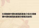 红楼春趣中袭姑娘指的是谁介绍(红楼春趣中袭姑娘指的是谁详细情况如何)