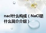 nacl什么构成（NaCl是什么简介介绍）