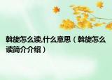 斡旋怎么读,什么意思（斡旋怎么读简介介绍）